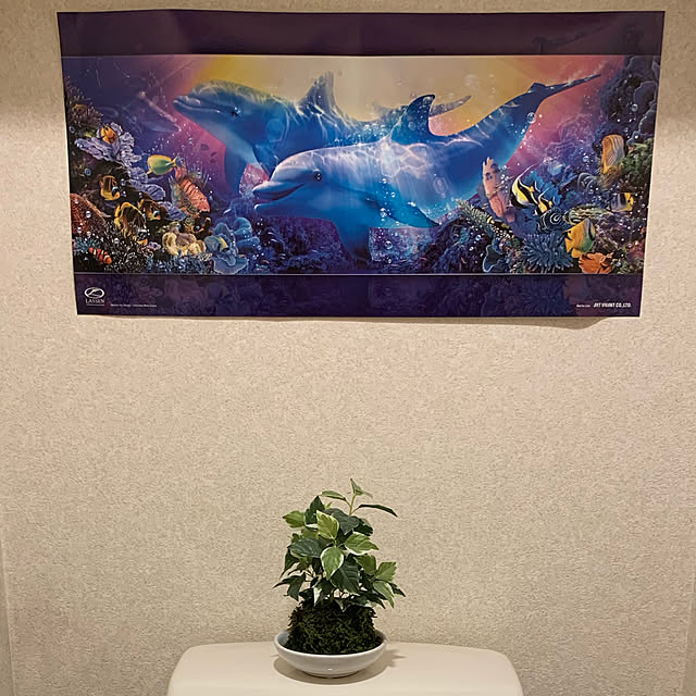 Aqettyさんの実例写真
