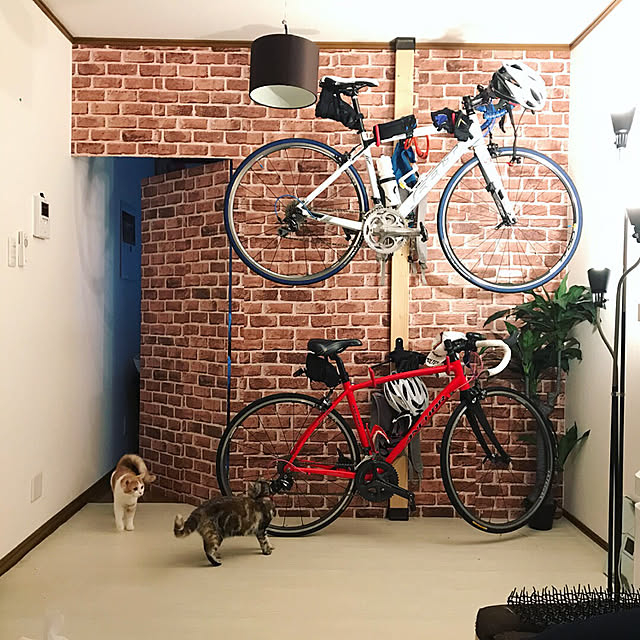 Mizueさんの実例写真