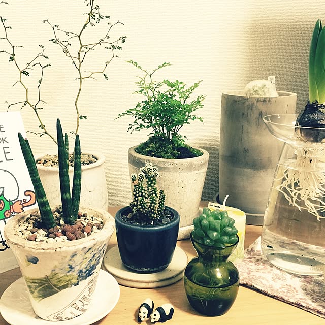 haruさんの実例写真
