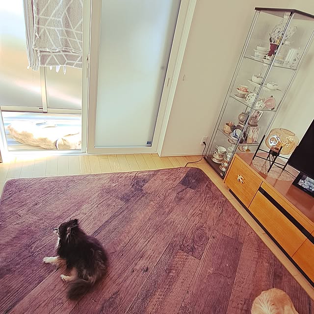 mihiroさんの部屋