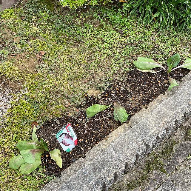 kakoさんの実例写真
