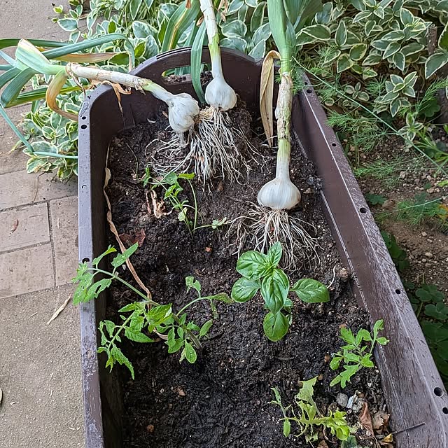 botanさんの部屋
