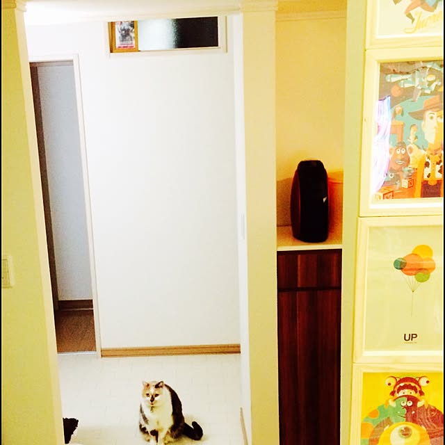 AIRさんの実例写真