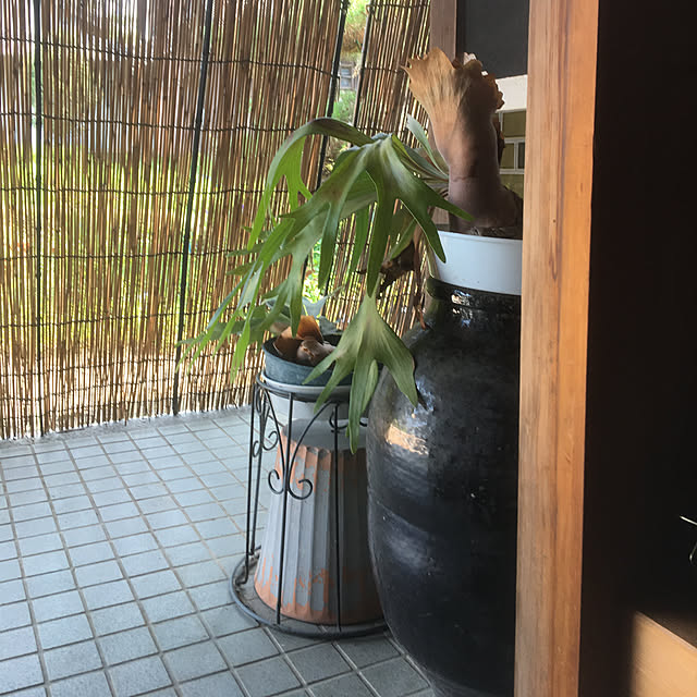 miho.ymmt1110さんの実例写真