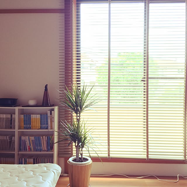 部屋全体のインテリア実例 - 2016-07-05 11:58:11