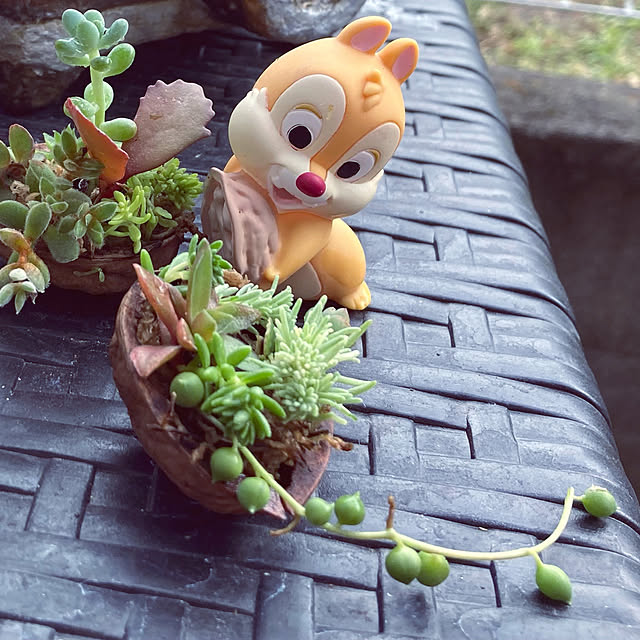 CoCo0617さんの部屋