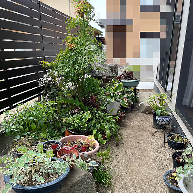 buchiさんの部屋