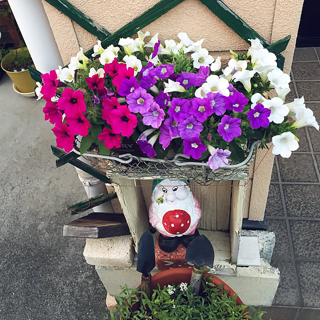 takakoさんの実例写真