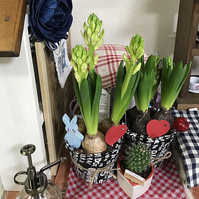 makiさんの実例写真