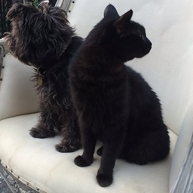 Hiroさんの実例写真