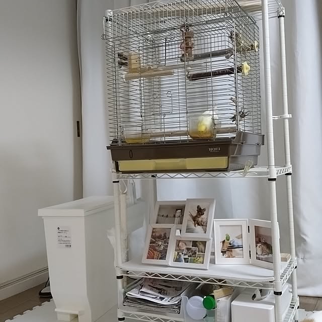 toratanさんの実例写真