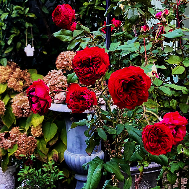 .tinkunさんの実例写真