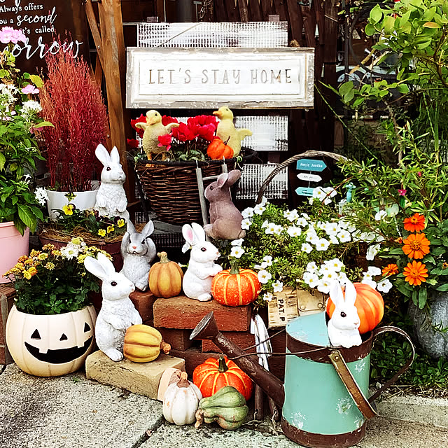 taeさんの実例写真
