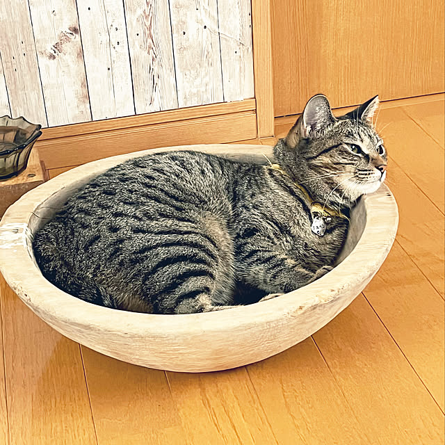 Mさんの実例写真