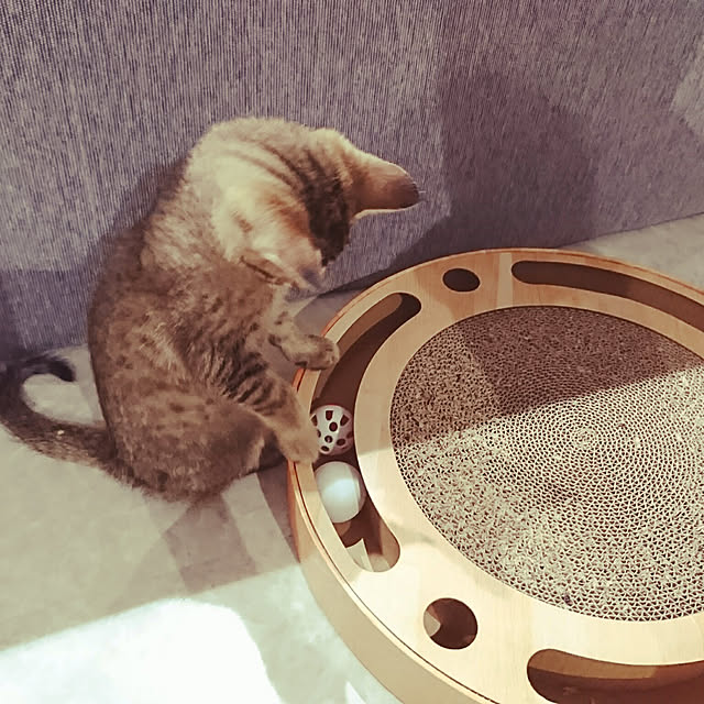 sakurako.0x0.さんの実例写真
