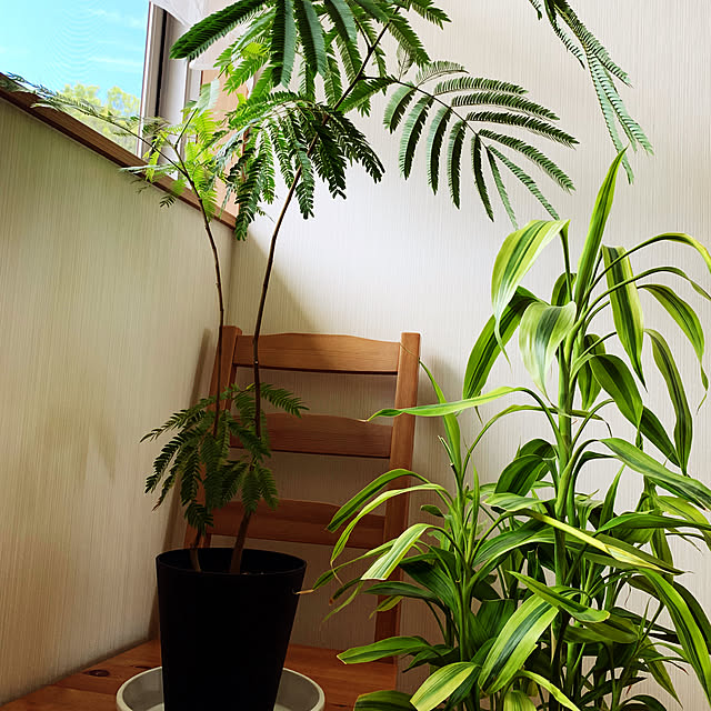 akiさんの部屋