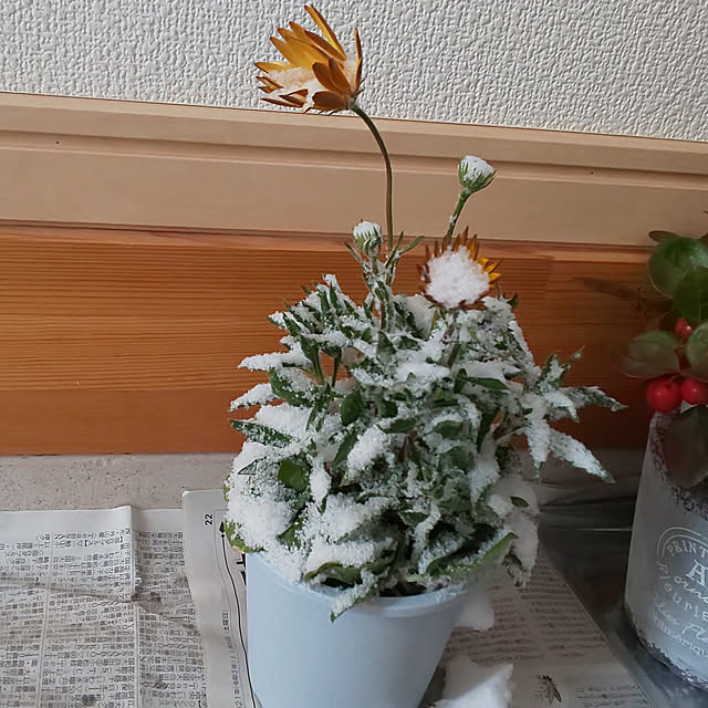 KOHAKUさんの実例写真