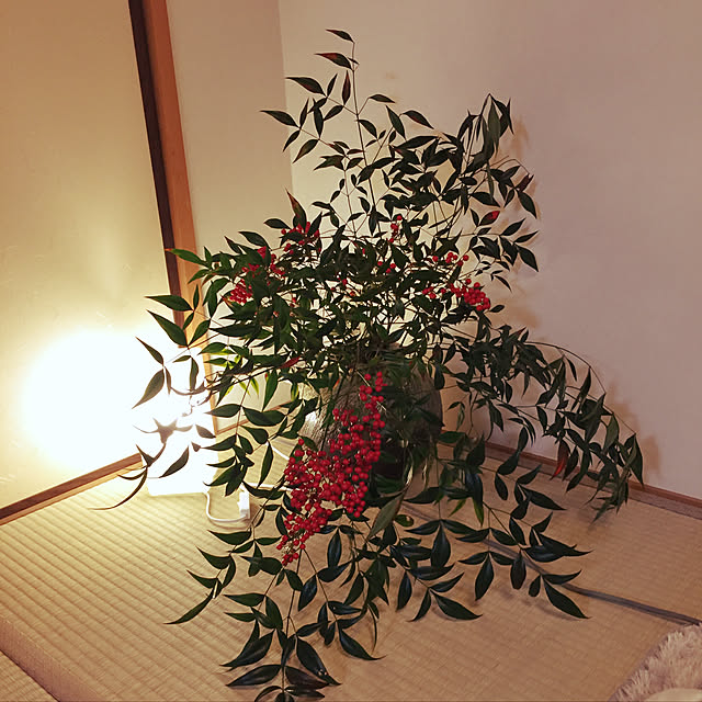 Tenさんの実例写真