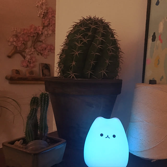 実例写真