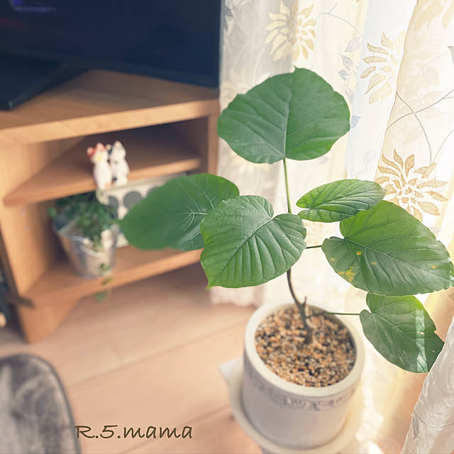 R.5.mamaさんの実例写真