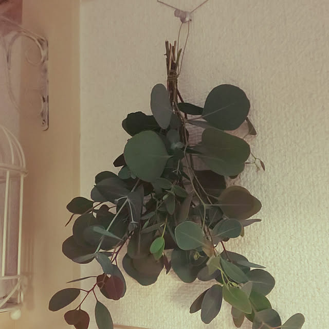 puttyさんの実例写真