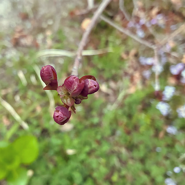 ayayayayaさんの部屋