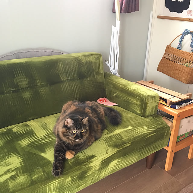 mikomaruさんの実例写真