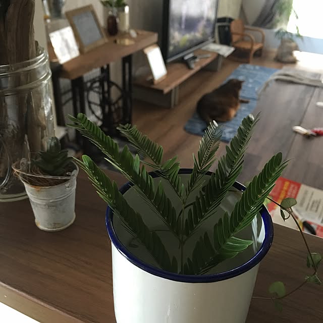 muuさんの実例写真