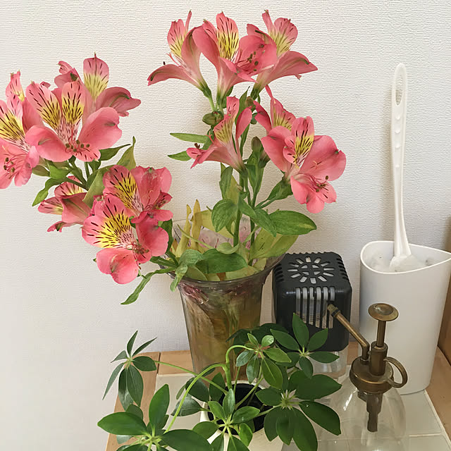 mi629さんの部屋