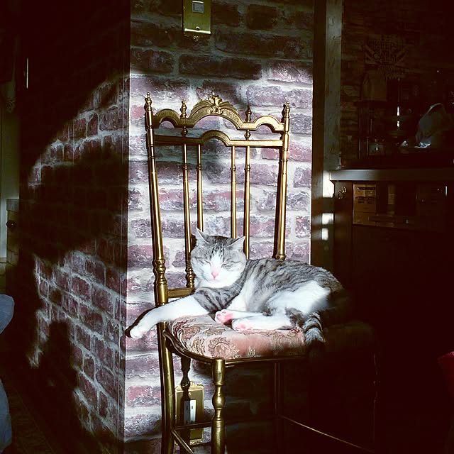 emmyyさんの実例写真