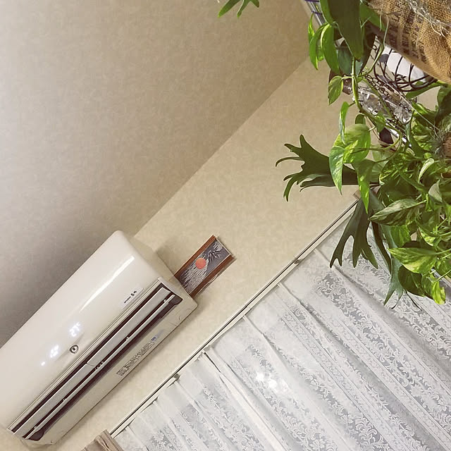 takoさんの実例写真