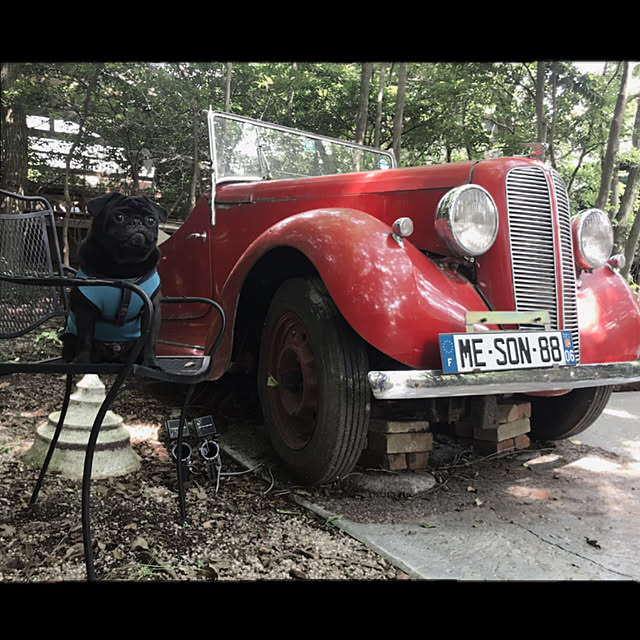 BOSS__Rinさんの実例写真