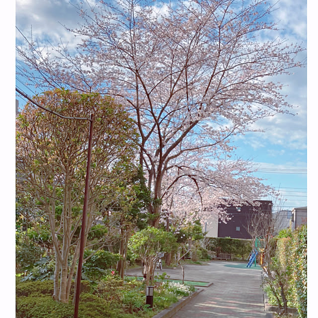 machakoさんの実例写真