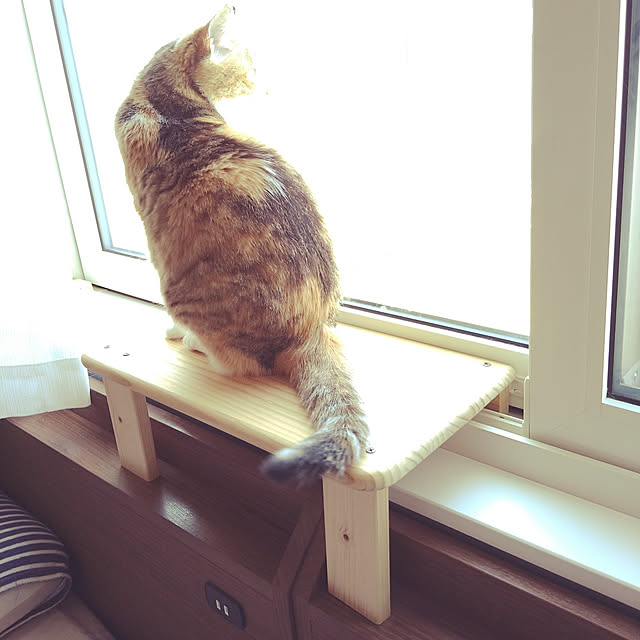 azumonaさんの実例写真