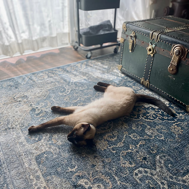 capelさんの実例写真