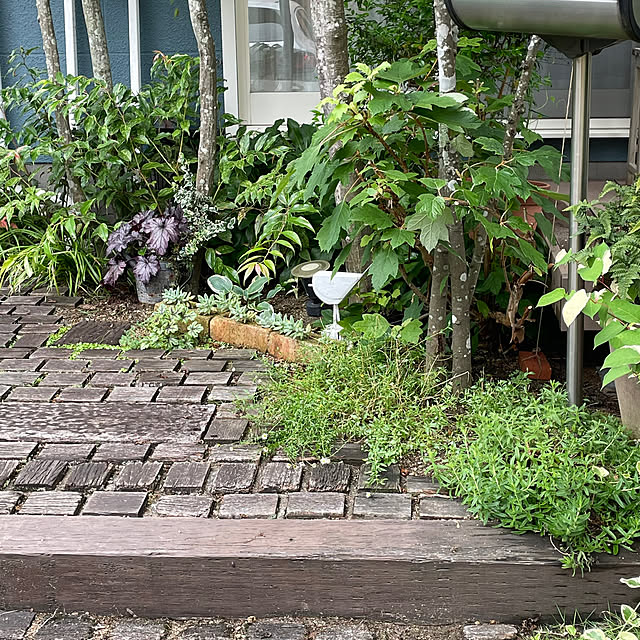 nobikoさんの部屋