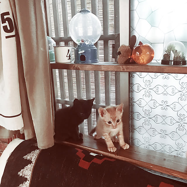 maroさんの実例写真