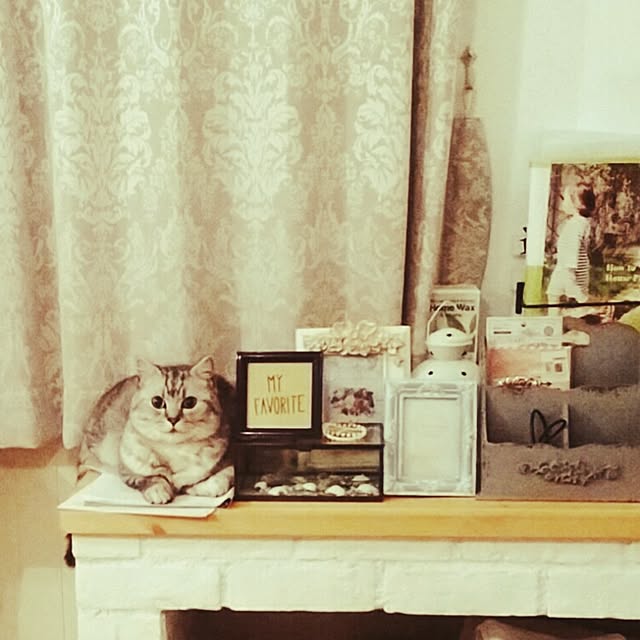 ryuxxaさんの実例写真