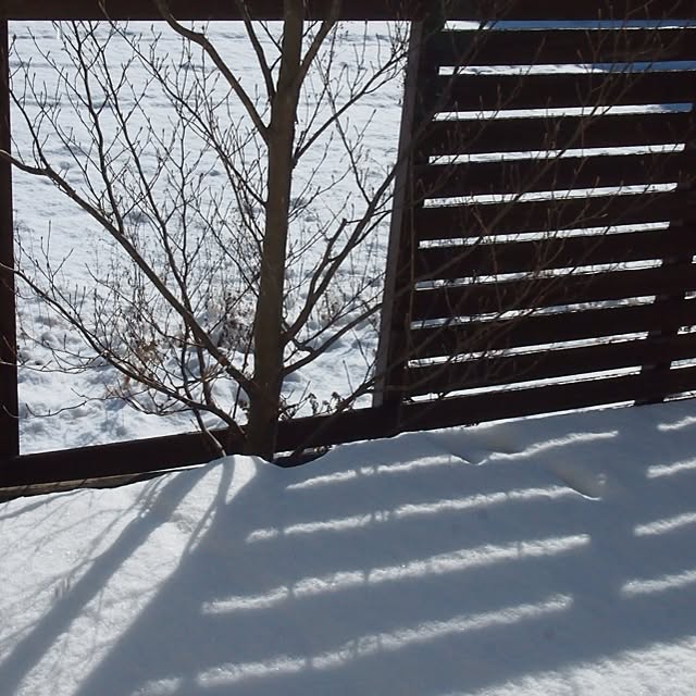 yuzuさんの実例写真