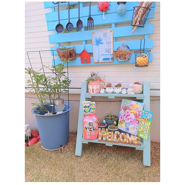 Miyumamaさんの実例写真