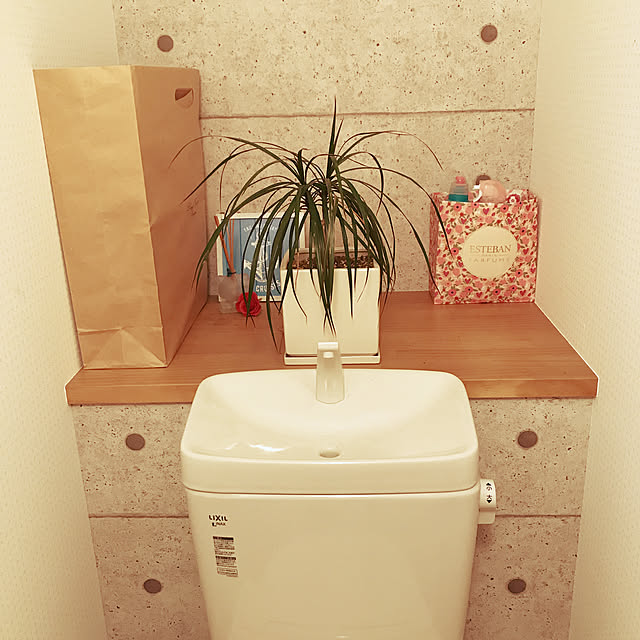 観葉植物/バス/トイレのインテリア実例 - 2020-06-06 19:15:45
