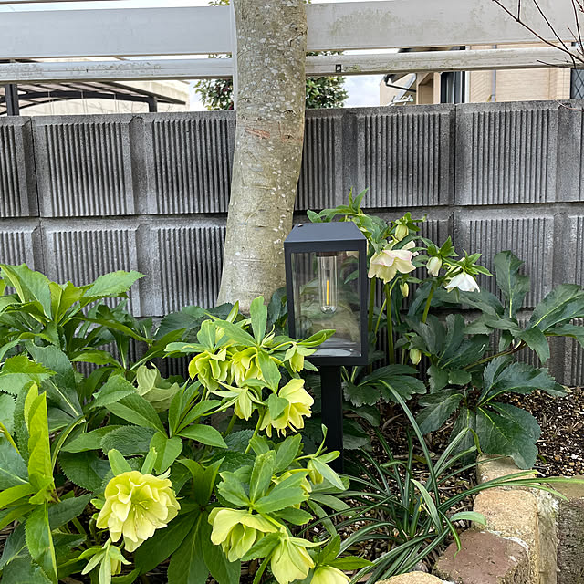 nanachanmamaさんの部屋