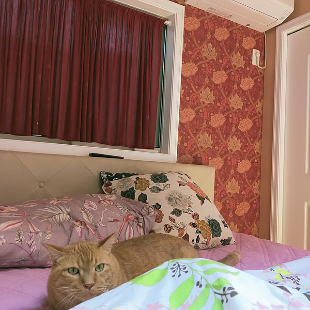 naoさんの実例写真