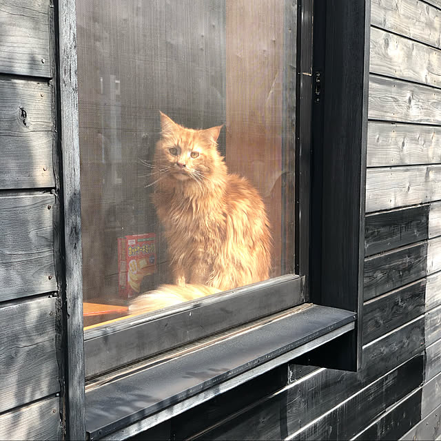 kabu10さんの実例写真