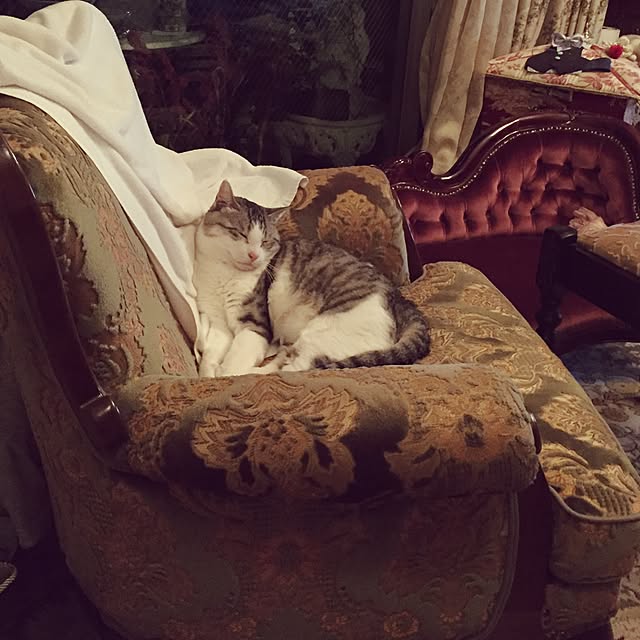emmyyさんの実例写真