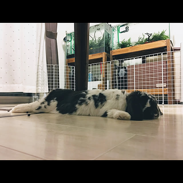 mochidamochioさんの実例写真