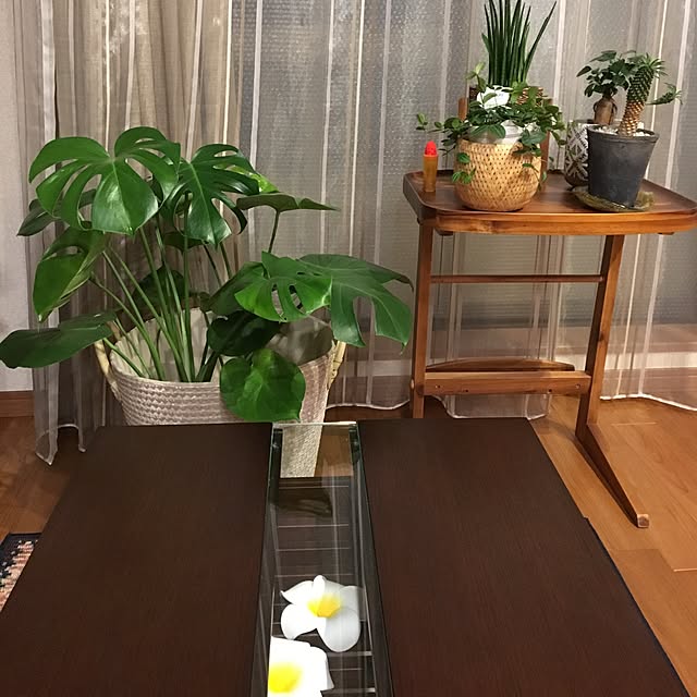 madeara55さんの実例写真