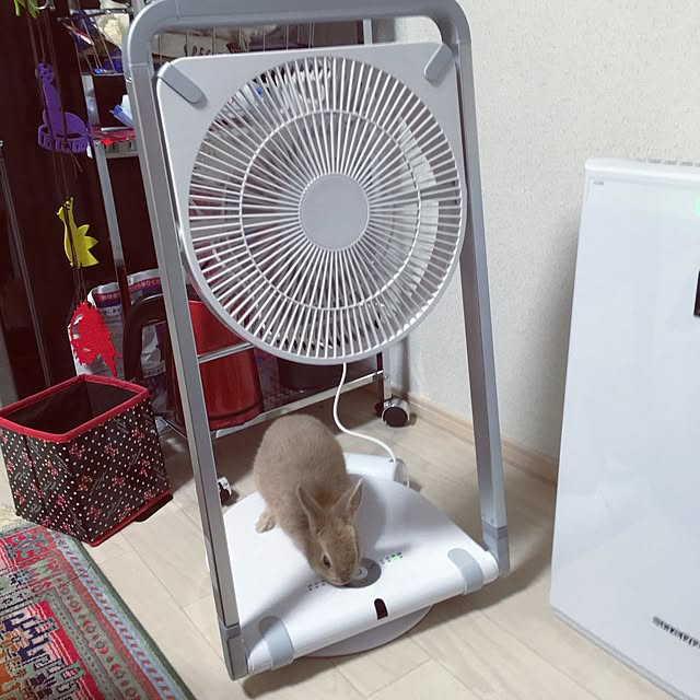 yupiyupiyhaaaさんの実例写真