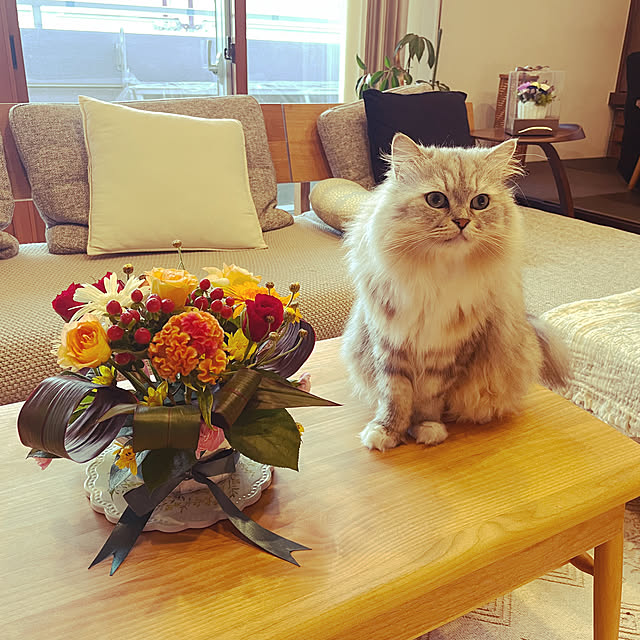 akimamさんの部屋
