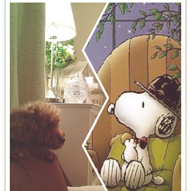 yumicyanさんの実例写真